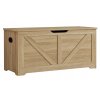 Úložný box LEHAC, dub sonoma, 100x46 cm, praktický design, bezpečnostní kování, ideální do ložnice či předsíně.