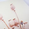 Designová dekorace na stěnu POPPY WOOD Ø 58 cm – minimalistický přírodní styl