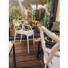 92295 31 stylova terakotova plastova zidle kato do jidelny