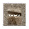 RAVEN 34